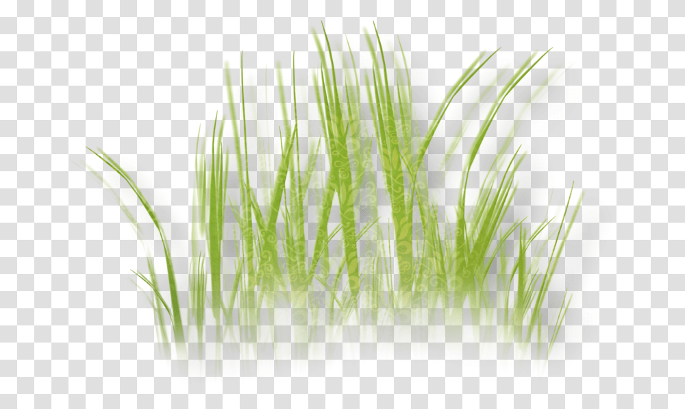 Herbaceous Plant Grass Clip Art Clip Art, Vegetation, Lawn, Water, Animal Transparent Png