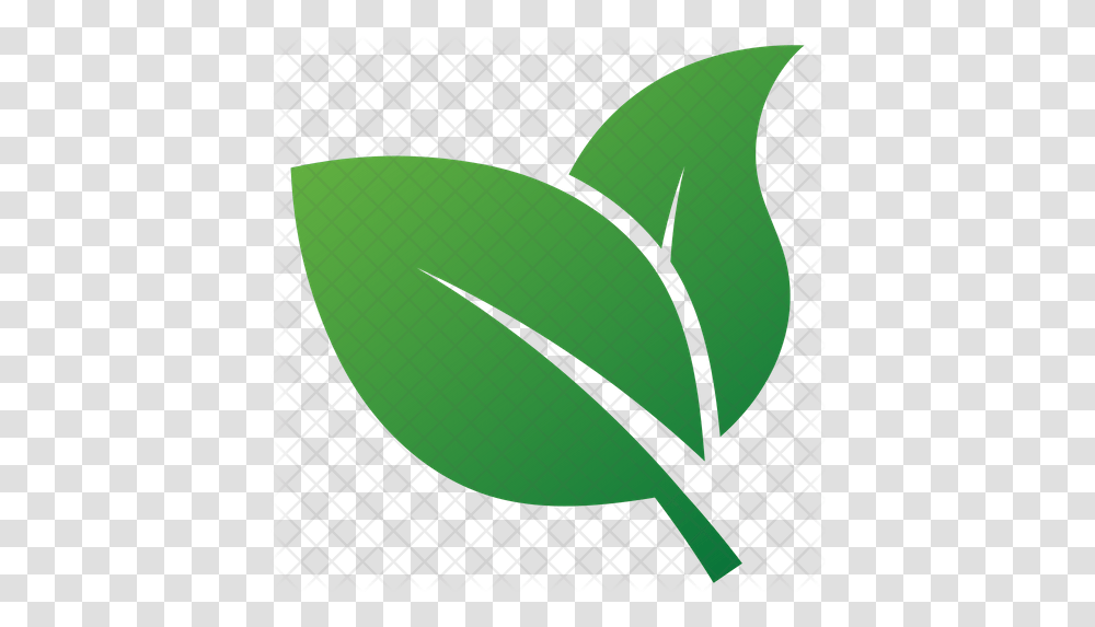 Herbal Leaves Design Icon Of Flat Style Illustration, Plant, Leaf, Tennis Racket, Produce Transparent Png