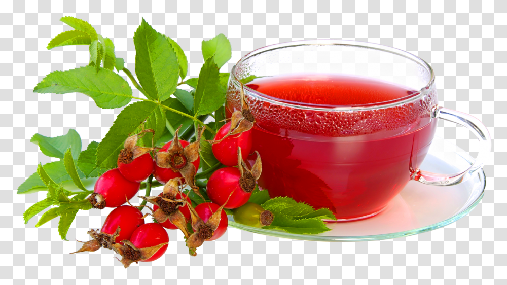 Herbal Tea Cup Images Cranberry Tea, Beverage, Plant, Vase, Jar Transparent Png