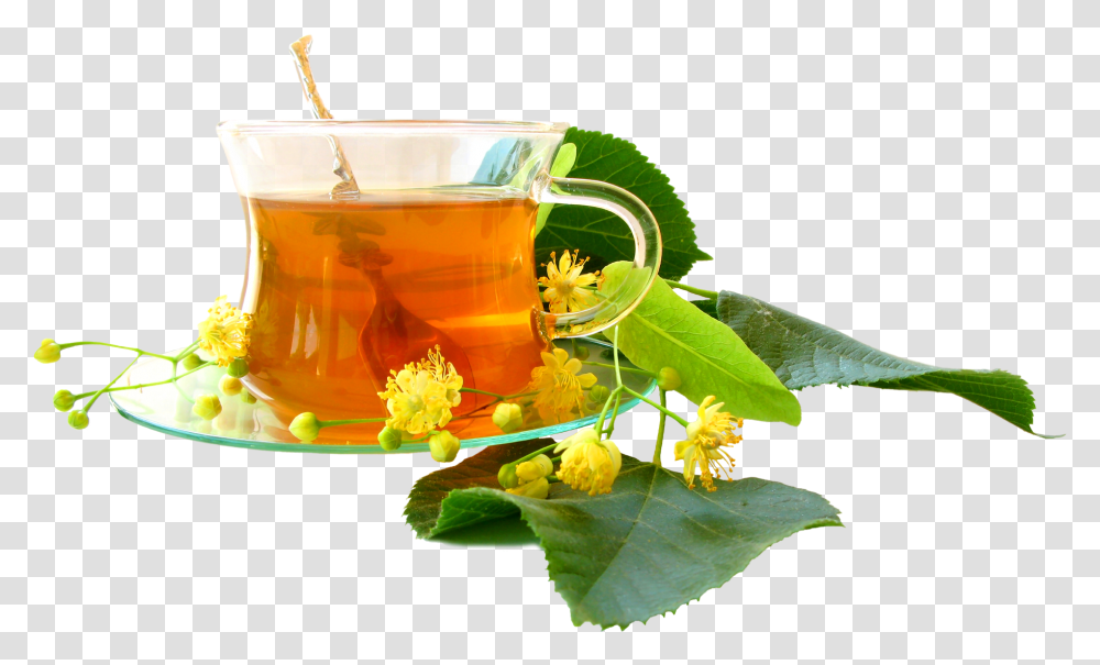 Herbal Tea Images, Vase, Jar, Pottery, Plant Transparent Png