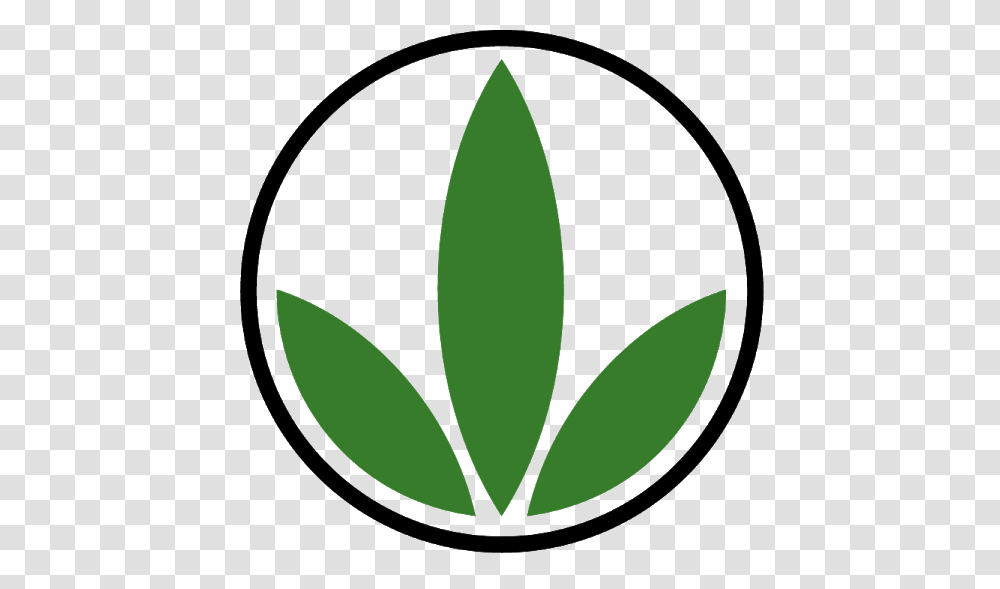 Herbalife Hlifepoint It, Leaf, Plant, Green, Flower Transparent Png