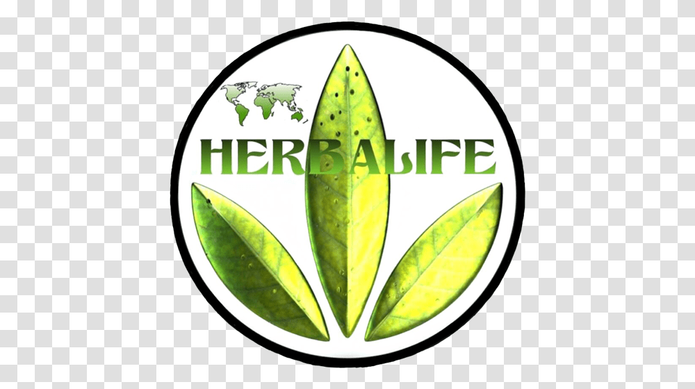 Herbalife Nutrition Member Herbalife Nutrition Icone, Leaf, Plant, Vase, Jar Transparent Png