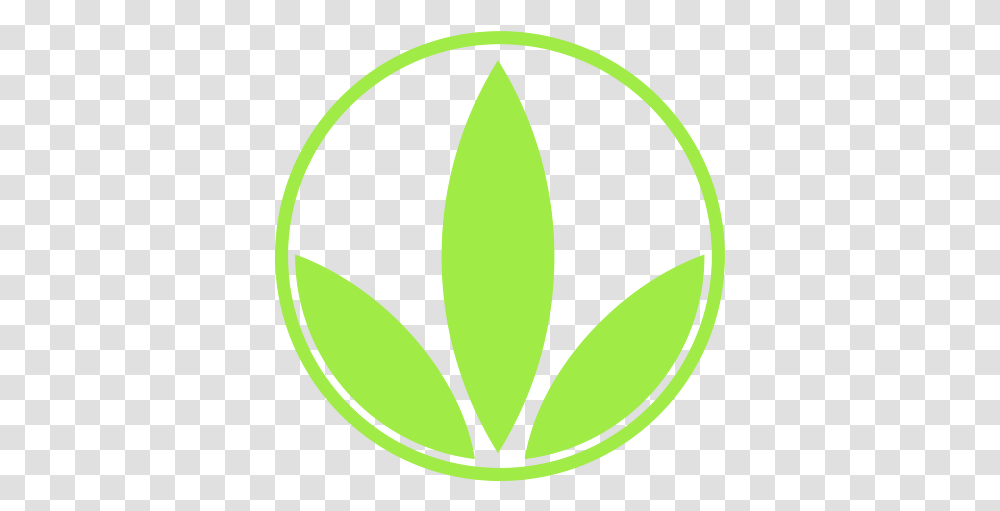 Herbalife Skin Logo Vector Herbalife, Tennis Ball, Sport, Sports, Symbol Transparent Png