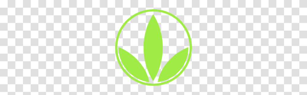 Herbalife Skin Logo Vector, Tennis Ball, Sport, Sports, Plant Transparent Png