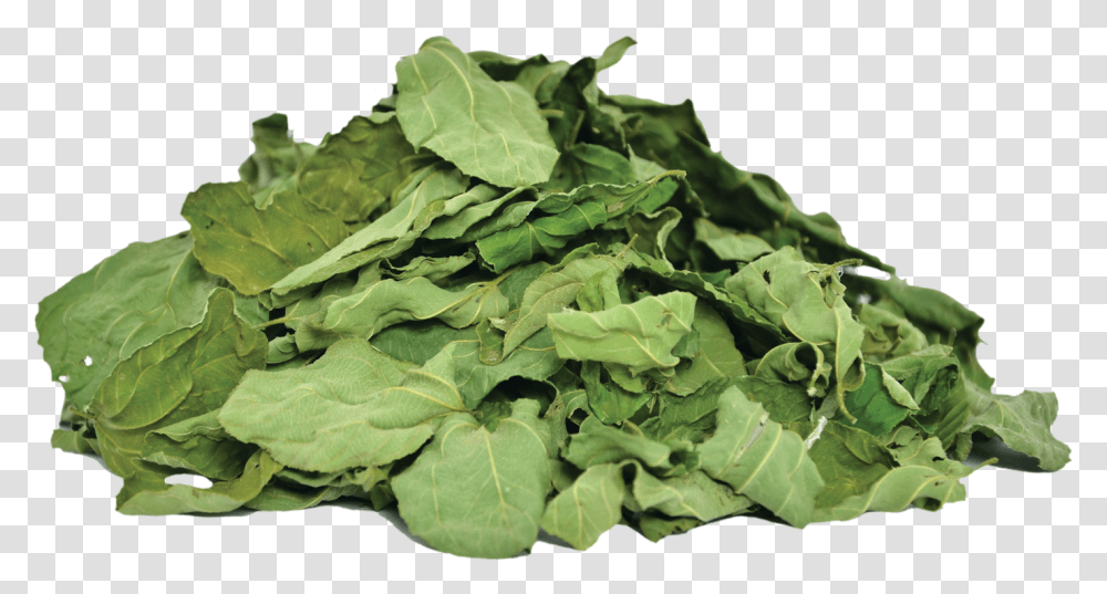 Herbs Amp Botanicals Ziziphus Spina Leaves, Plant, Spinach, Vegetable, Food Transparent Png
