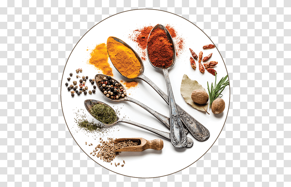 Herbs And Spices White Background, Plant, Spoon, Cutlery, Vegetable Transparent Png
