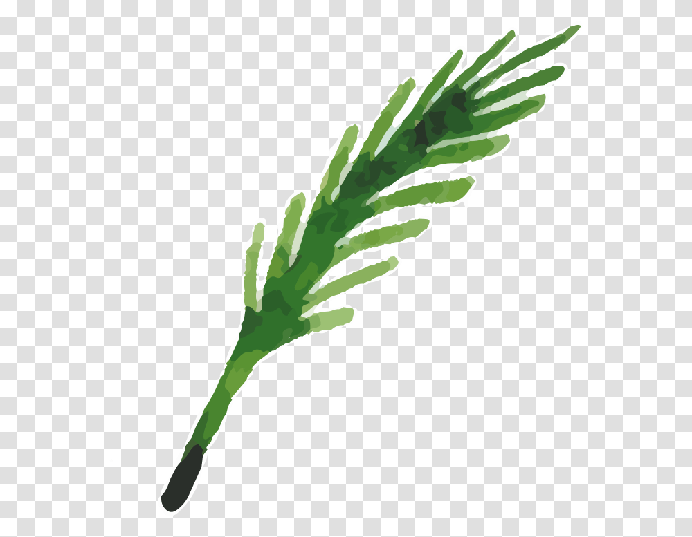 Herbs Clipart Grass, Plant, Green, Leaf, Potted Plant Transparent Png