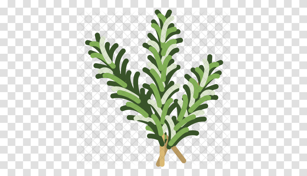 Herbs Icon Herbs Icons, Plant, Vegetable, Food, Leaf Transparent Png
