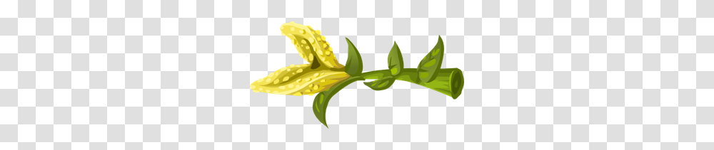 Herbs Yellow Crumb Flower Clipart For Web, Plant, Leaf, Vegetation, Produce Transparent Png