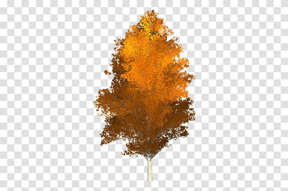 Herbst Baum, Leaf, Plant, Tree, Maple Transparent Png