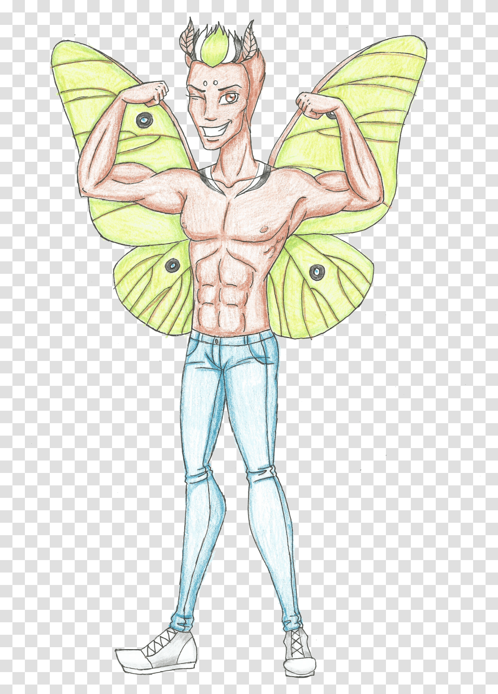 Hercules Lepidoptera Illustration Transparent Png