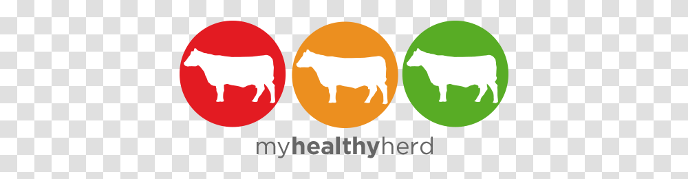 Herd Clipart Declaration, Light, Egg, Food Transparent Png