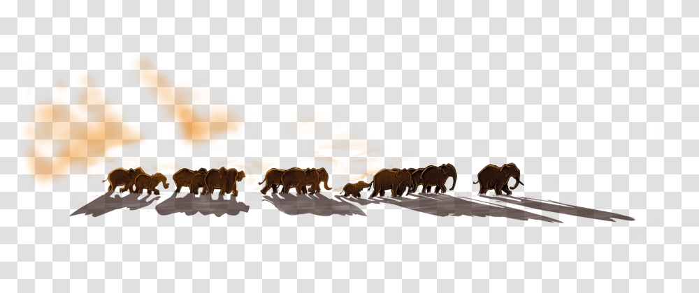 Herd, Collage, Poster, Advertisement, Outdoors Transparent Png