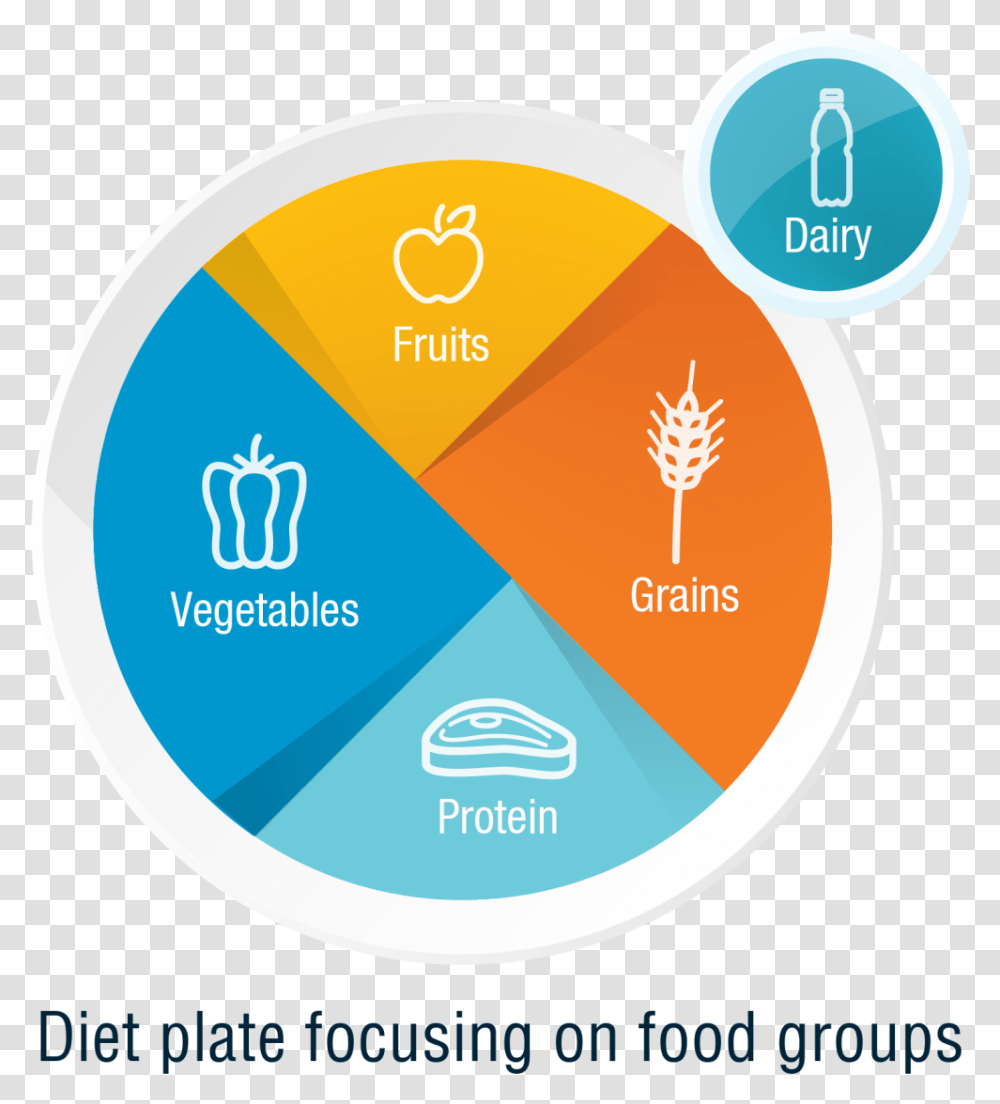 Here Are Some Diet Tips For Weight Loss Circle, Label, Sticker, Plectrum Transparent Png