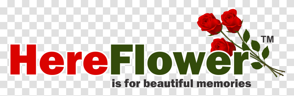 Here Flower Floribunda, Logo, Plant Transparent Png