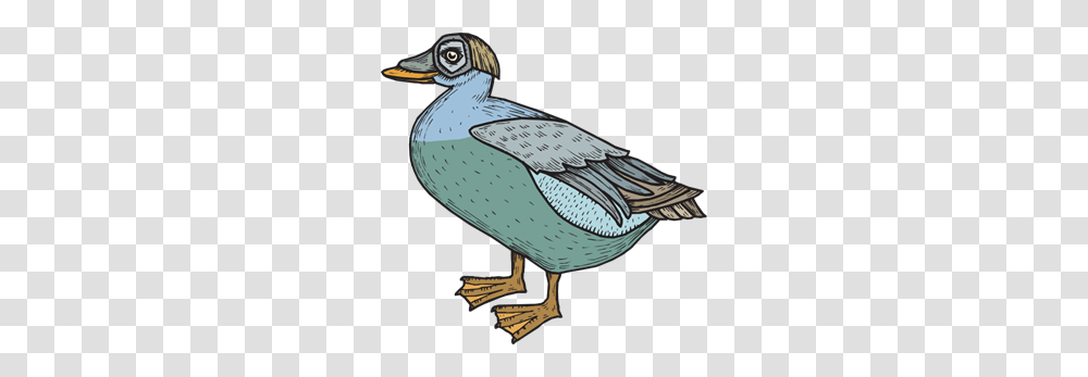 Here Images Icon Cliparts, Bird, Animal, Beak, Dodo Transparent Png