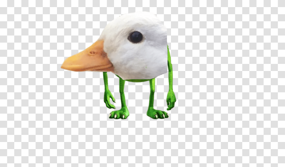 Here Is The Duck As Mike Wazowski Dolandark, Bird, Animal, Beak, Goose Transparent Png