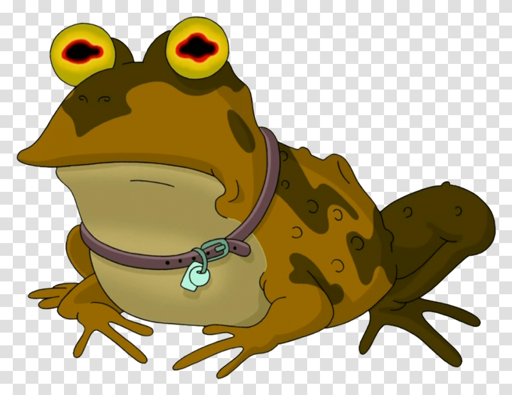 Here's My Work Product Hypnotoad Gif, Amphibian, Wildlife, Animal, Frog Transparent Png