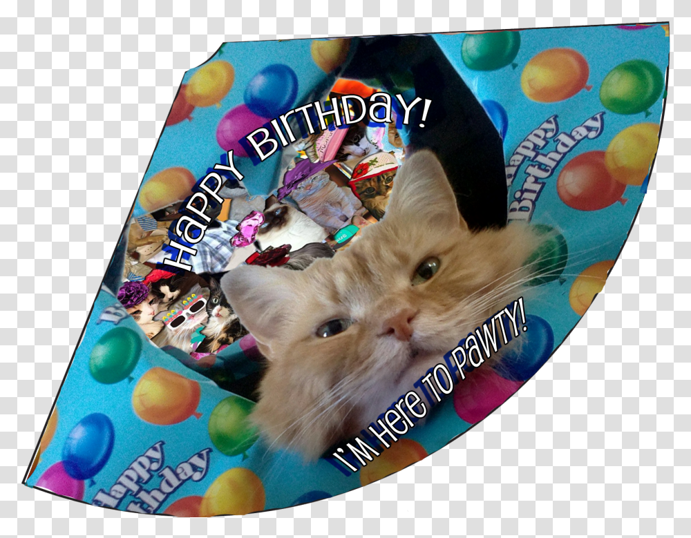 Here To Pawty Birthday Hat Cat Grabs Treat, Pet, Mammal, Animal, Kitten Transparent Png