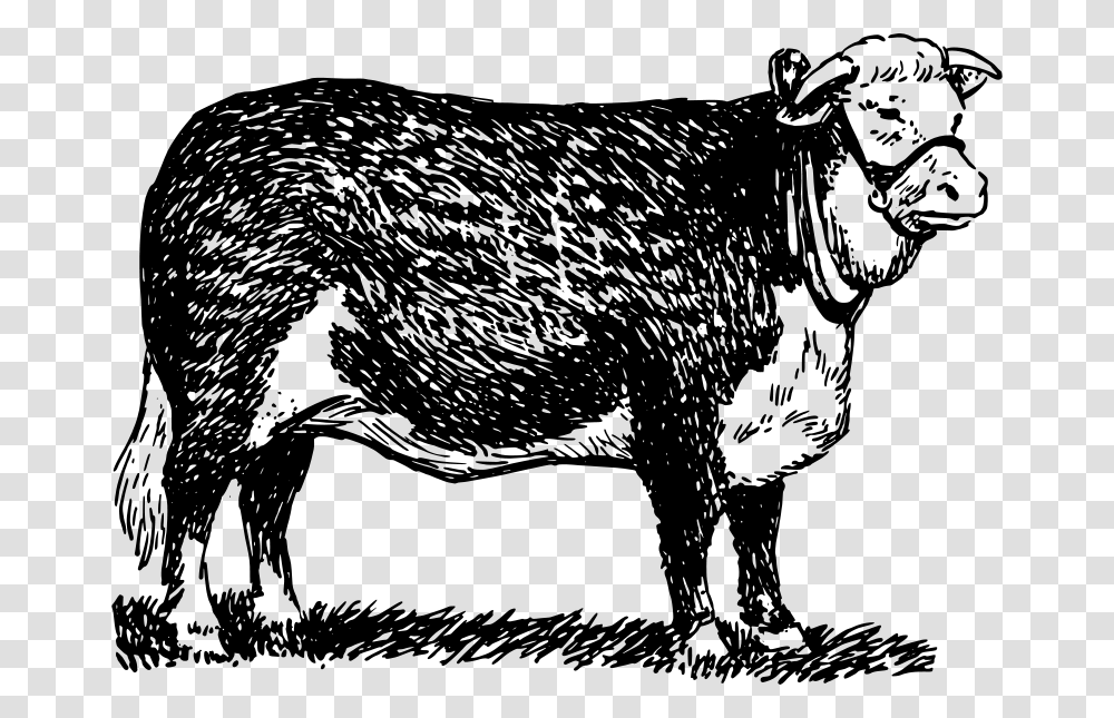 Hereford, Animals, Gray, World Of Warcraft Transparent Png