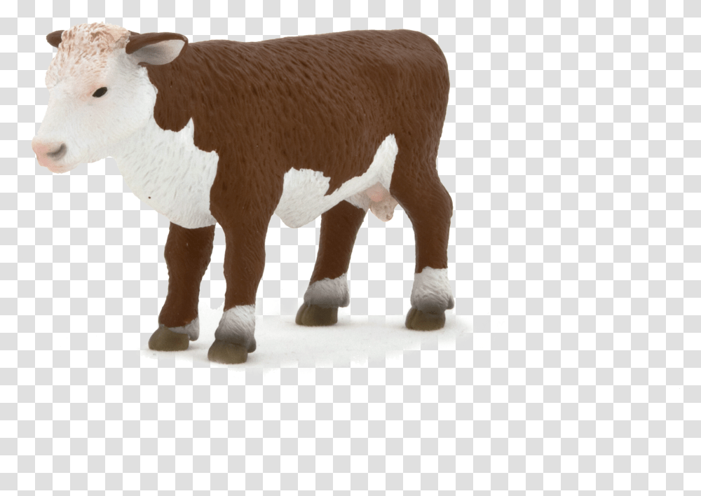 Hereford Cattle Calf Sheep Herefordshire Artikel Hereford Cattle, Cow, Mammal, Animal, Manx Transparent Png