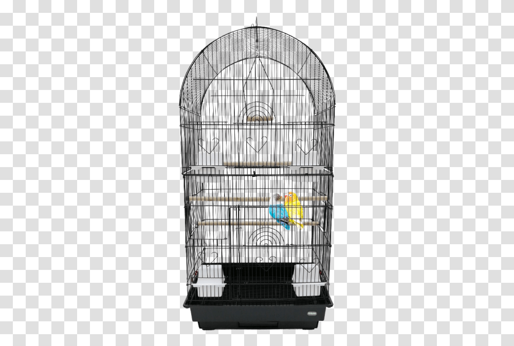 Heritage Large 2 Door Double Bird Cage 90x36x47cm Parakeet Budgie Cockatiel Cockatiel Cages, Gate, Animal, Shorts, Clothing Transparent Png