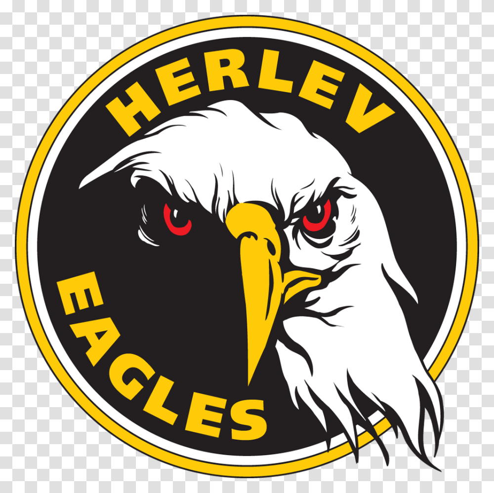 Herlev Eagles Logo, Trademark, Bird, Animal Transparent Png