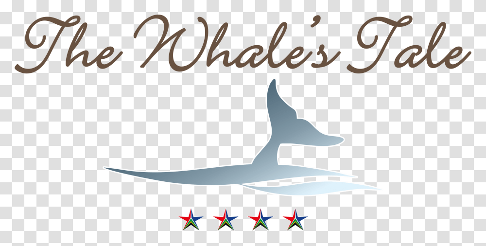 Hermanus Whale S Tail Guesthouse Calligraphy, Sea Life, Animal, Mammal Transparent Png