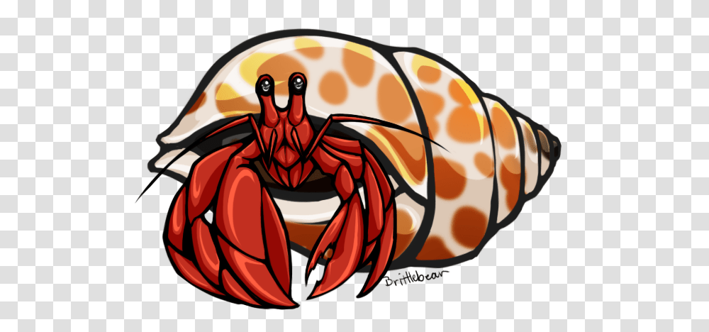 Hermit Crab Clip Art, Seafood, Sea Life, Animal, Helmet Transparent Png