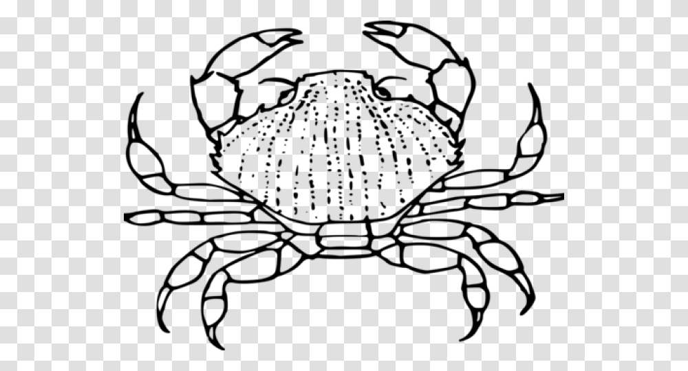 Hermit Crab Clipart Chibi Clip Art, Gray, World Of Warcraft Transparent Png