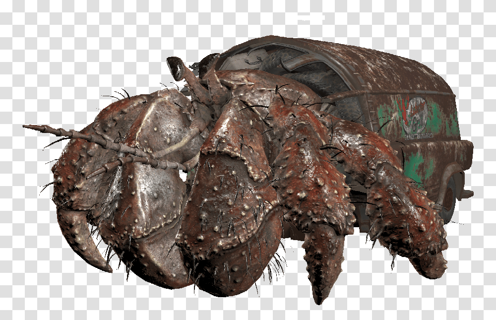 Hermit Crab Hermit Crab, Sea Life, Animal, Seafood, Crawdad Transparent Png