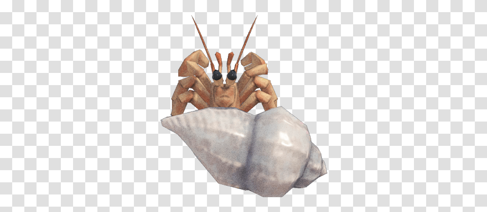 Hermit Crab Nookipedia The Animal Crossing Wiki Animal Crossing New Horizons Hermit Crab, Person, Human, Sea Life, Seafood Transparent Png