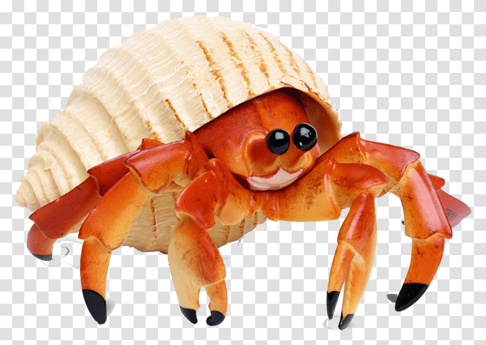 Hermit Crabs, Sea Life, Animal, Seafood, Lobster Transparent Png