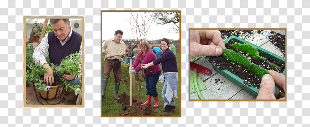 Hero Group Tree, Person, Human, Planting, Outdoors Transparent Png
