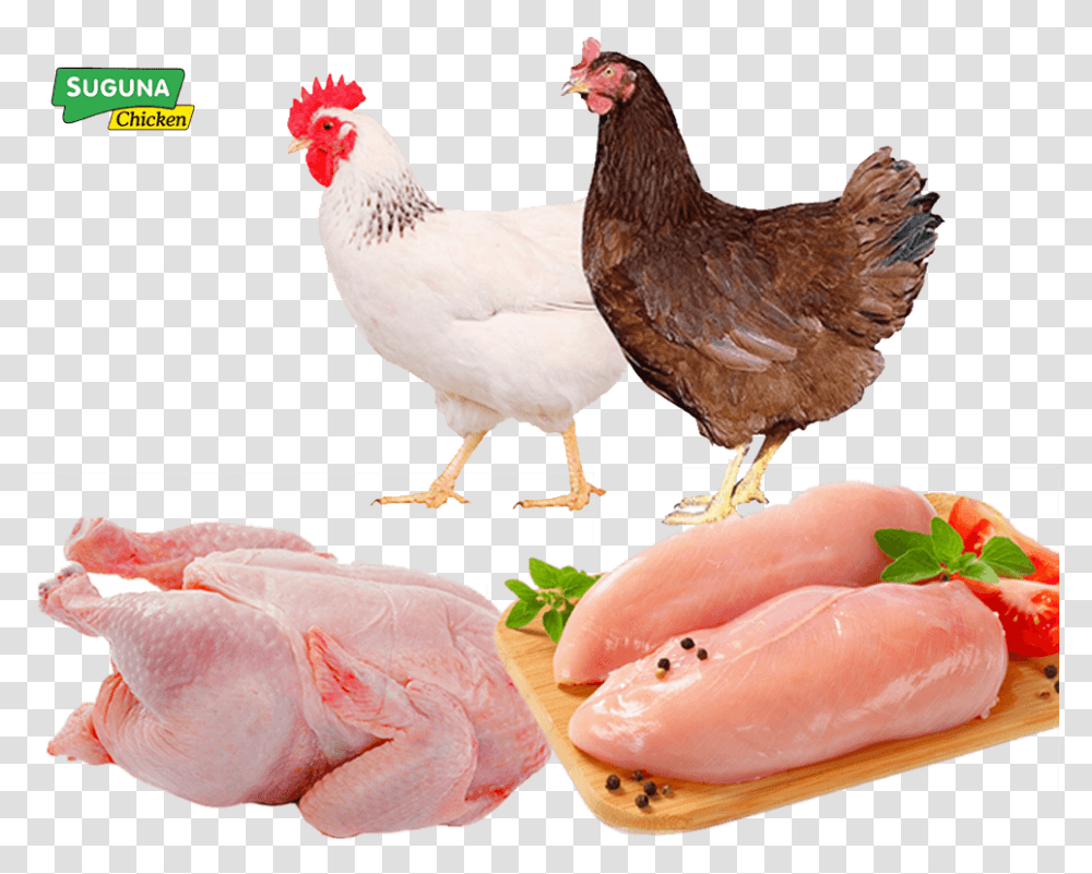 Hero Image Fresh Chicken Breast, Hen, Poultry, Fowl, Bird Transparent Png