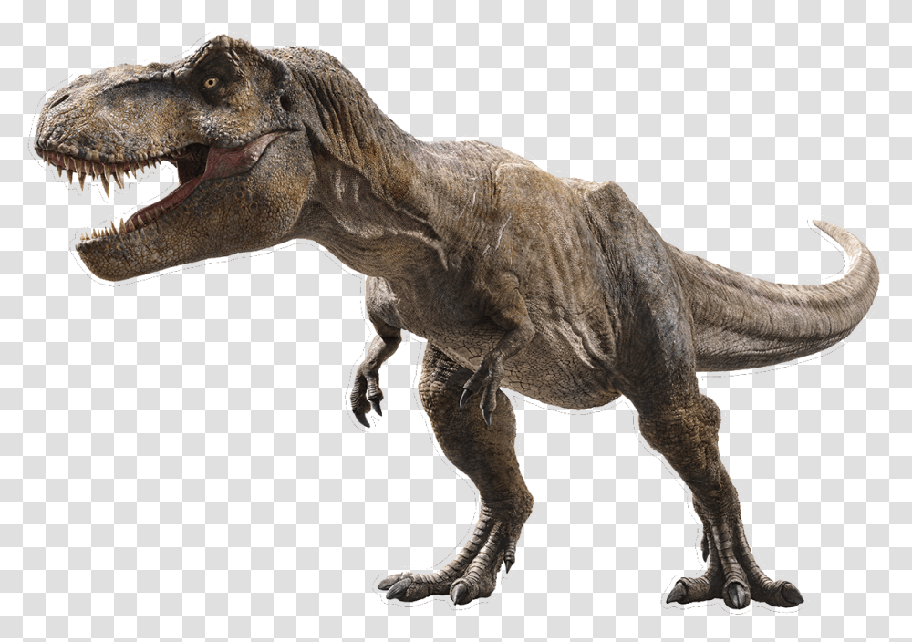 Heroes Of The World Wiki, Dinosaur, Reptile, Animal, T-Rex Transparent Png