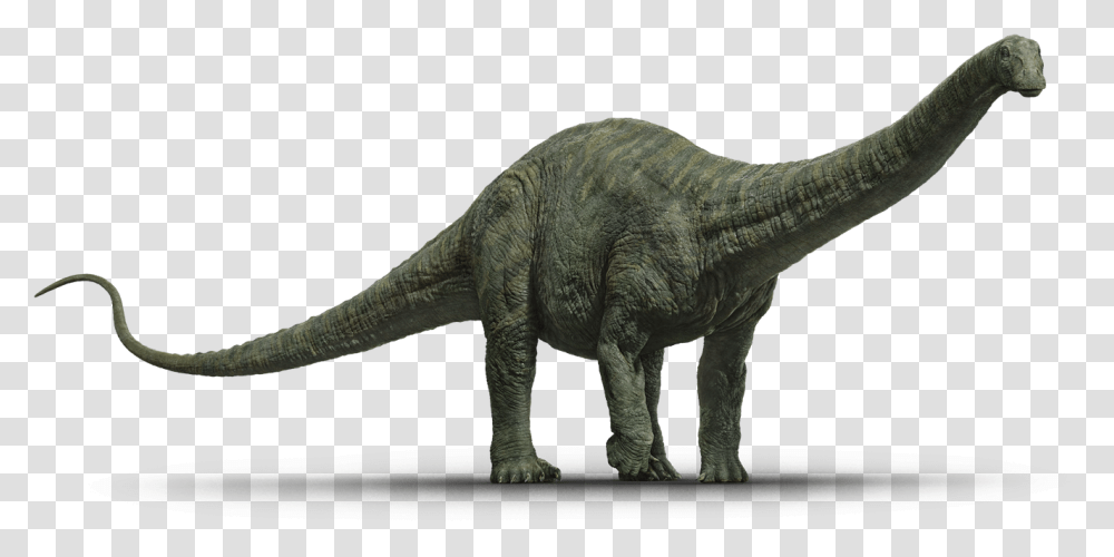 Heroes Of The World Wiki Jurassic World Fallen Kingdom Apatosaurus, Dinosaur, Reptile, Animal, T-Rex Transparent Png