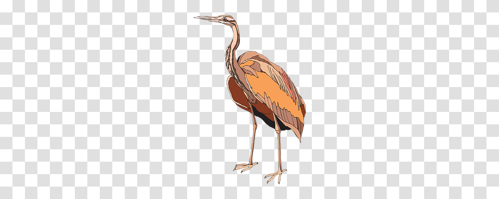 Heron Animals, Bird, Flamingo, Crane Bird Transparent Png
