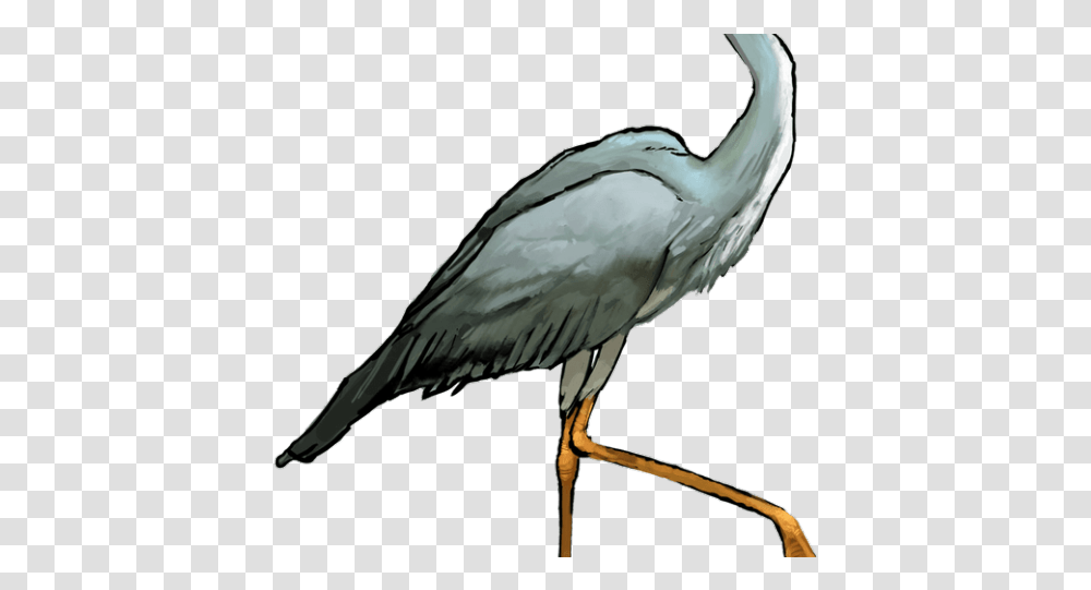 Heron Clipart Crane Bird Great Blue Heron Clipart, Animal, Waterfowl, Stork, Ardeidae Transparent Png