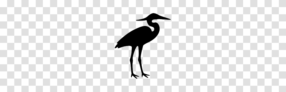 Heron Silhouette Birds Silhouettes Free, Crane Bird, Animal, Waterfowl, Stork Transparent Png