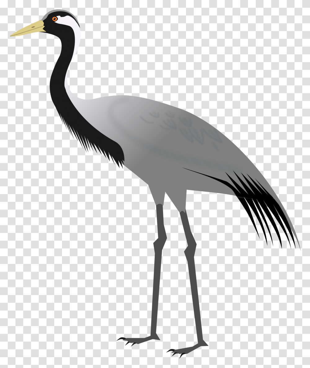 Heron Vector Crane Bird Demoiselle Crane, Animal, Waterfowl, Stork Transparent Png
