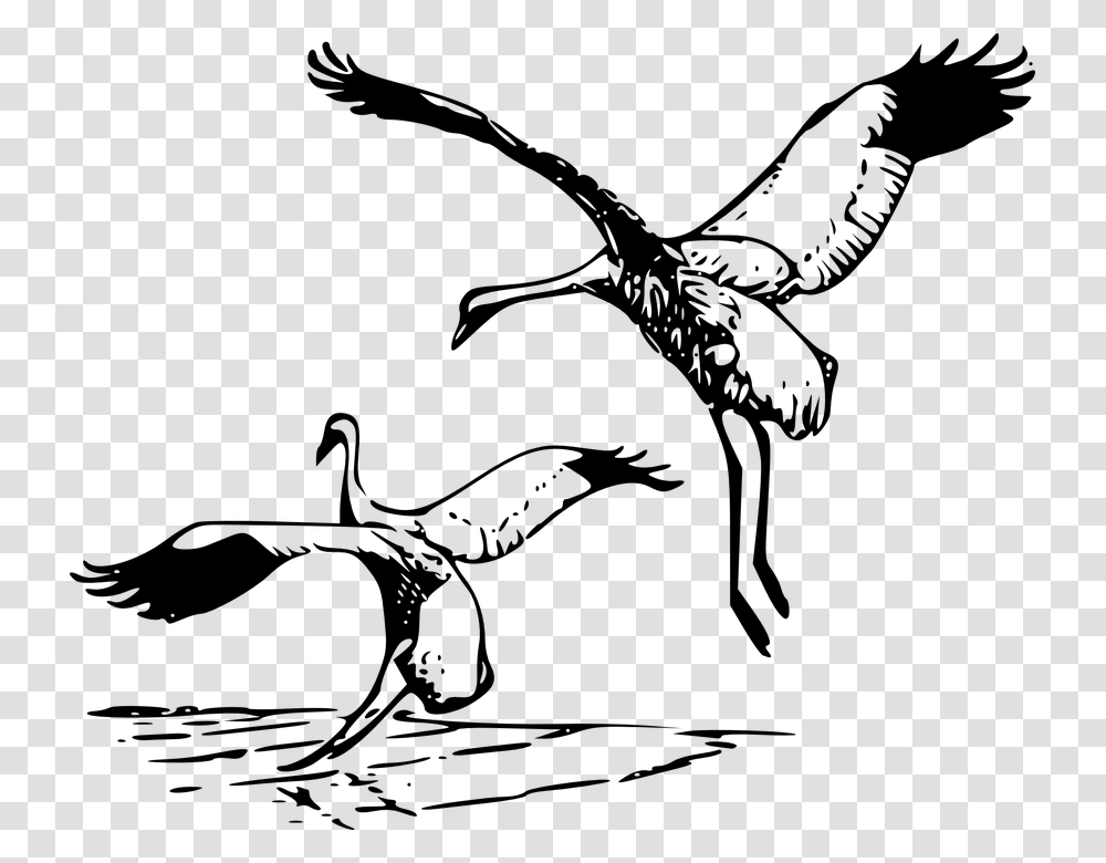 Heron Vector Crane Bird Whooping Cranes Clipart, Gray, World Of Warcraft Transparent Png
