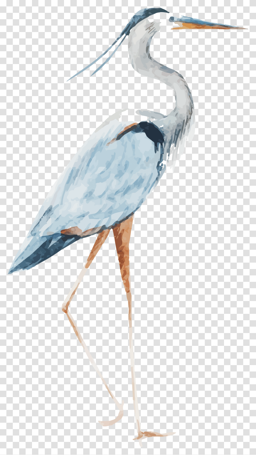 Heron Watercolor Crane Bird Watercolor, Animal, Waterfowl, Stork, Ardeidae Transparent Png
