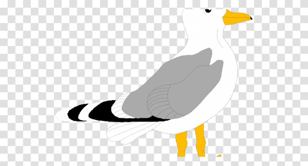 Herring Gull Clip Art, Bird, Animal, Pigeon, Dove Transparent Png