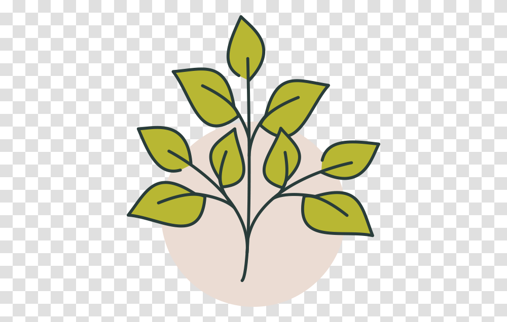 Hersheys Clip Art, Leaf, Plant, Stencil Transparent Png