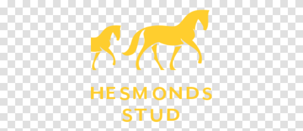 Hesmonds Stud Sumbe English Animal Figure, Poster, Advertisement, Symbol, Text Transparent Png
