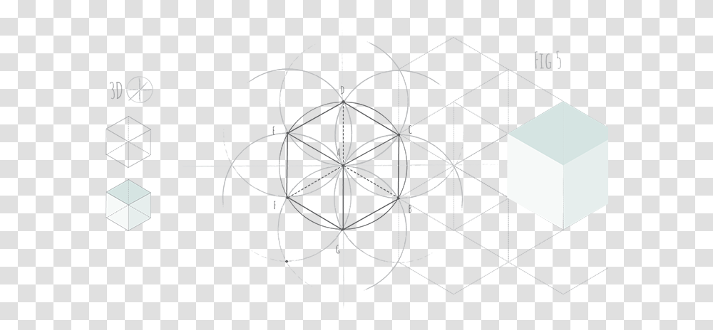 Hexagon Fig Circle, Pattern, Spider Web Transparent Png