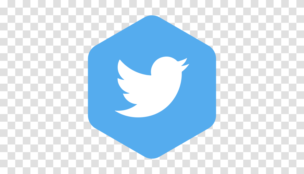 Hexagon Social Media Set Of Icons Icons For Free, Bird, Animal, Logo Transparent Png