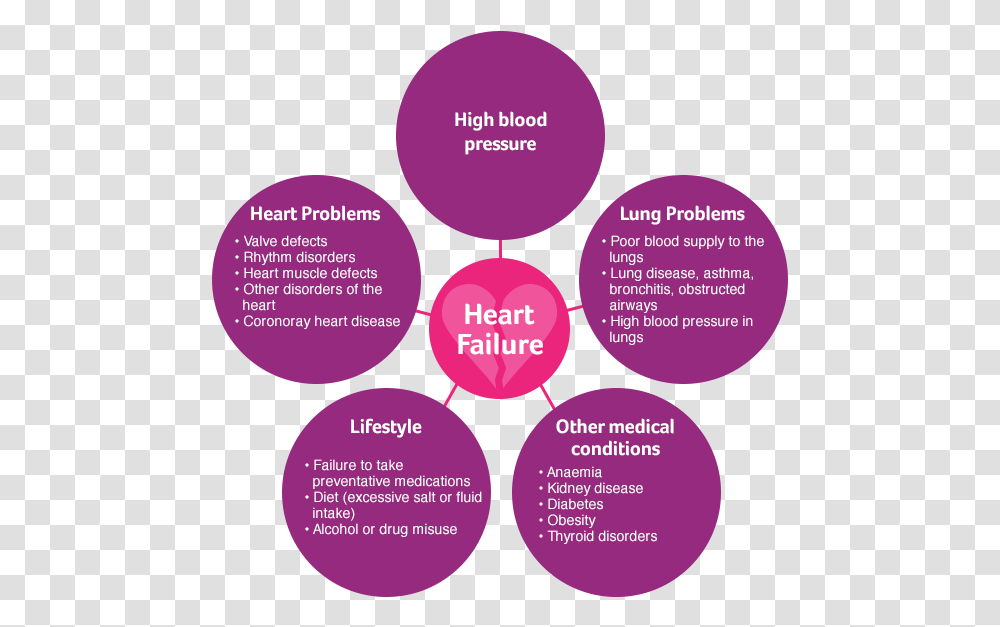 Hf Basics Circles Heart Failure Causes, Purple, Diagram, Flyer Transparent Png