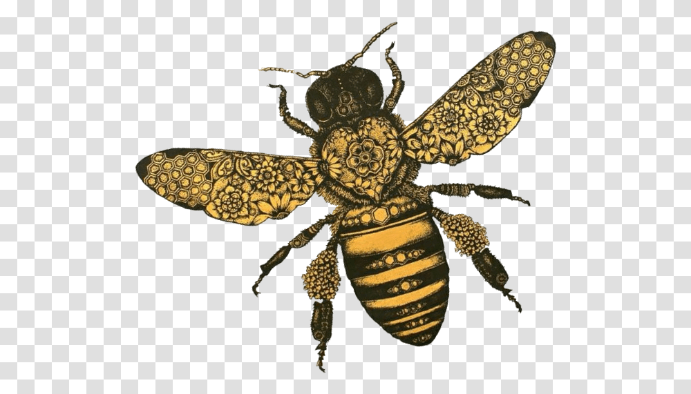 Hfk Bee Tilt, Insect, Invertebrate, Animal, Honey Bee Transparent Png